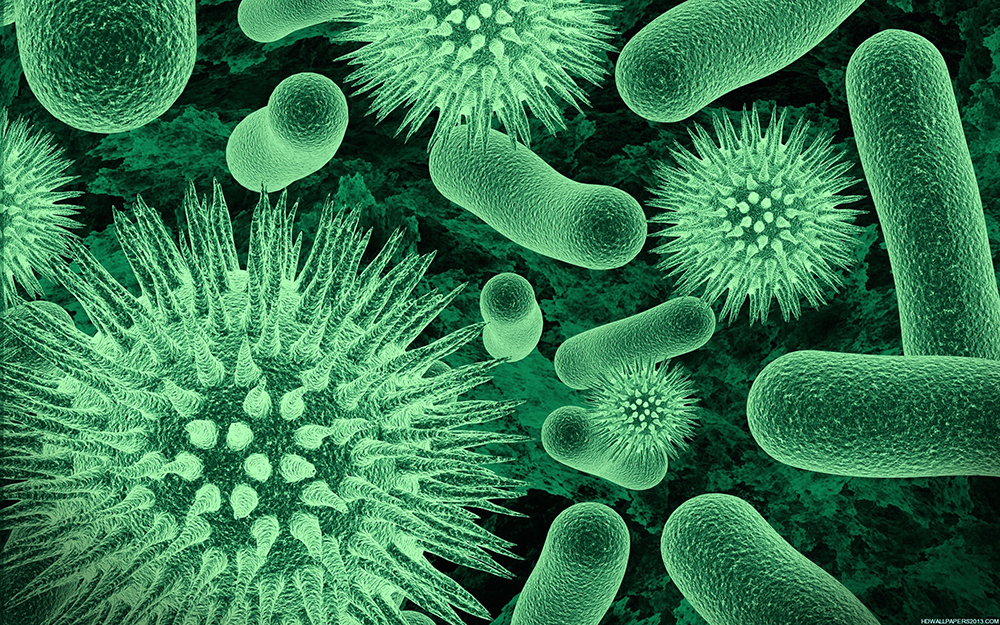 Virus
