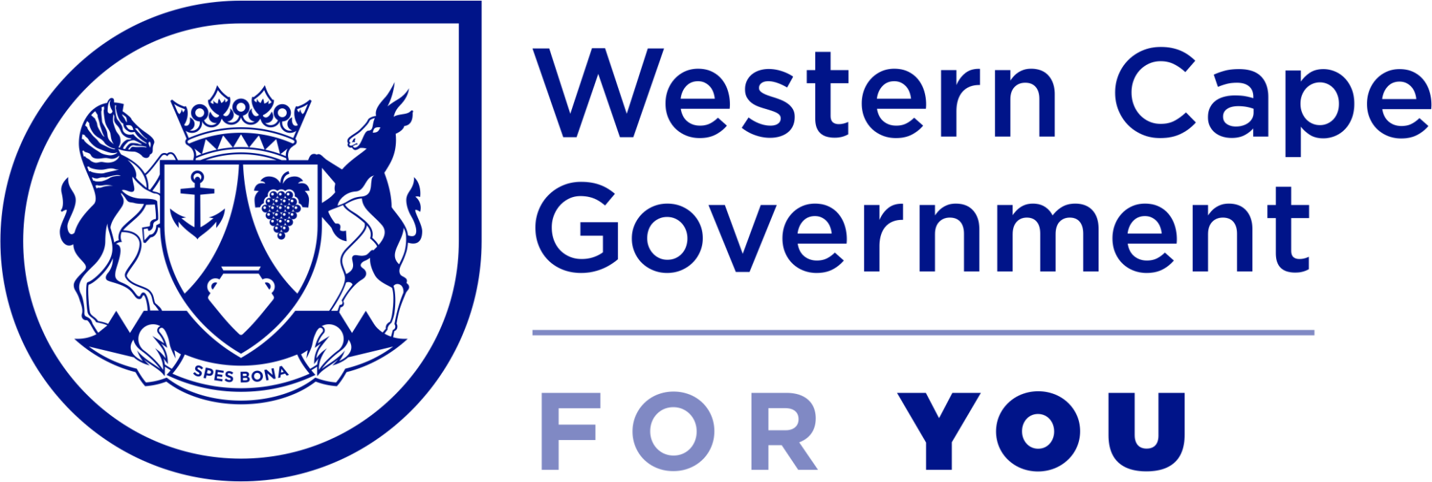 WESTERN CAPE GOVERNMENT visual data 8