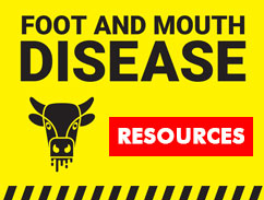 Foot and Mouth Disease